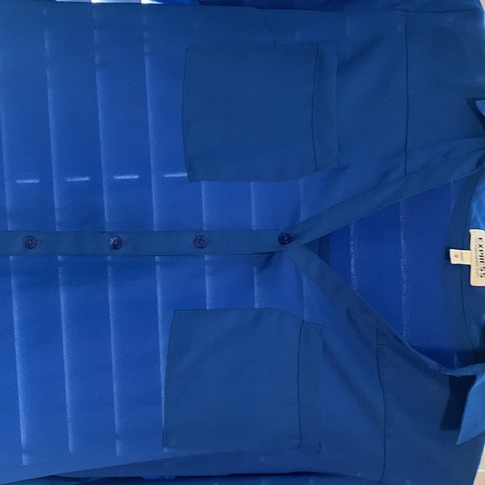 Express Blue Button Down Blouse - image 2